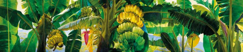 林惺嶽 南国バナナの王 2015 <br>油彩.キャンバス 218x999cm</br>